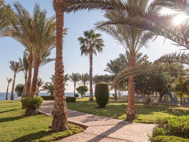 Serenity Makadi Beach 23