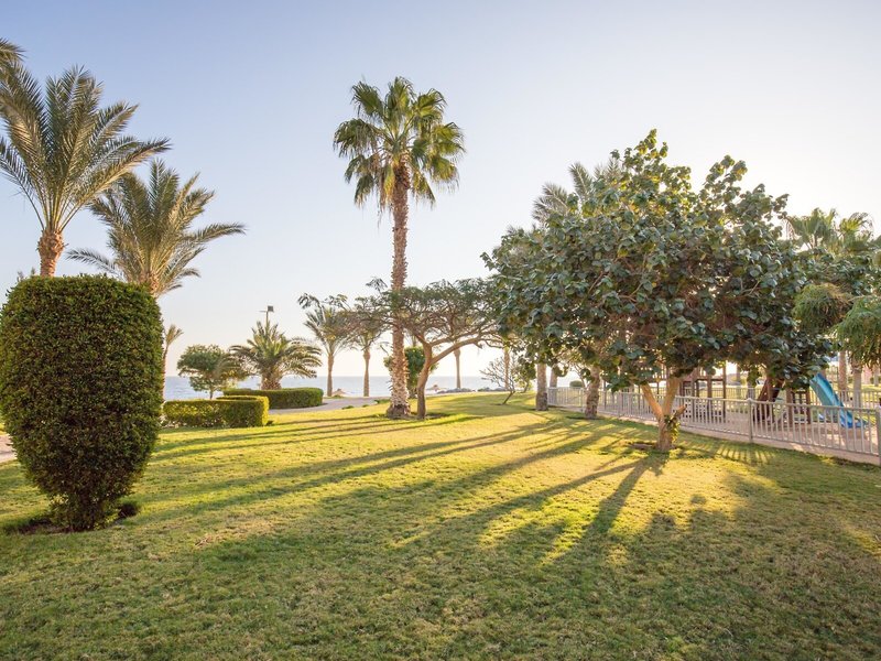 Serenity Makadi Beach 24