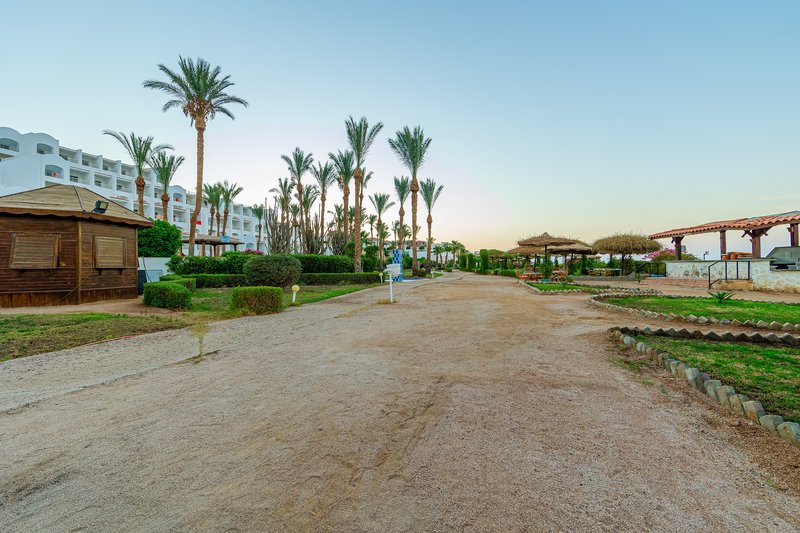 Siva Sharm Resort & Spa 27