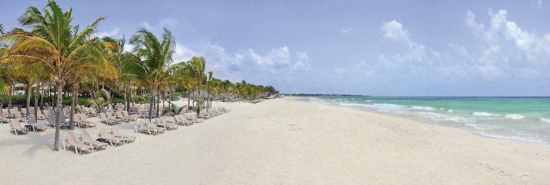 Catalonia Playa Maroma 7