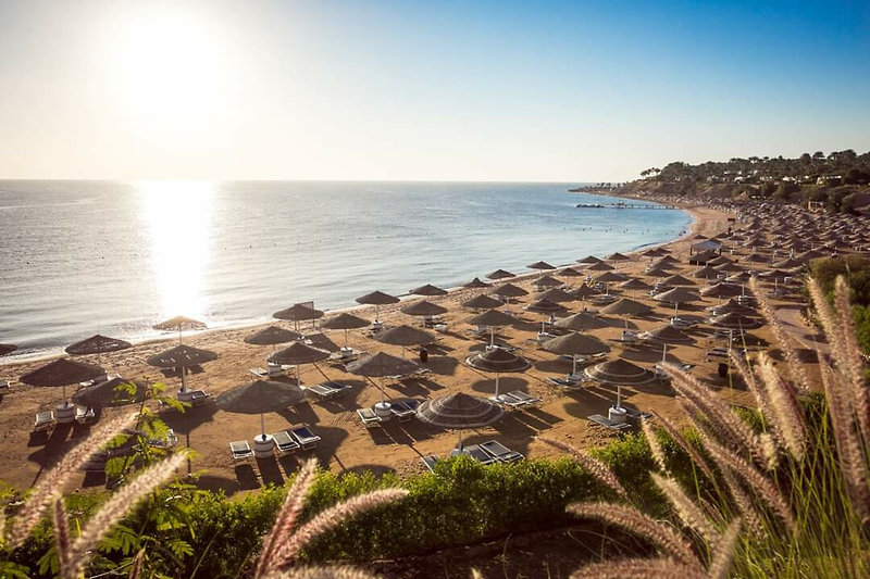 Domina Coral Bay Harem 7