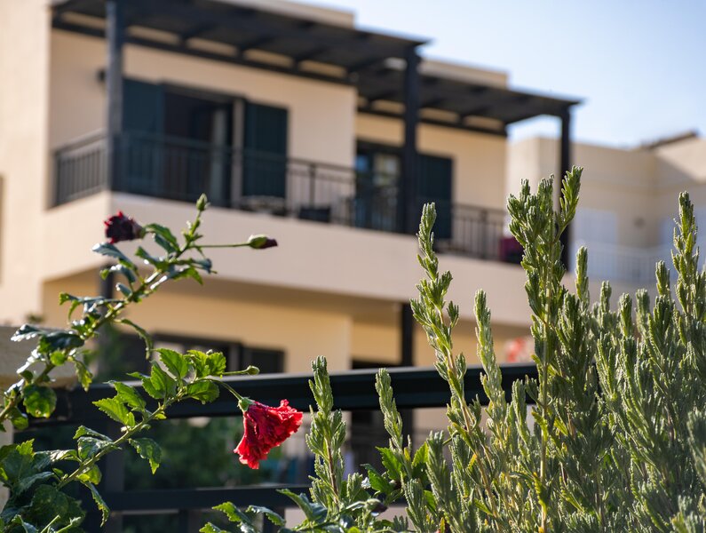 Anastasia Hotel 24