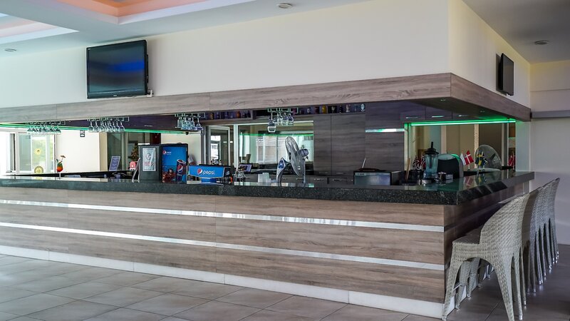 Catty Cats Garden Hotel 4