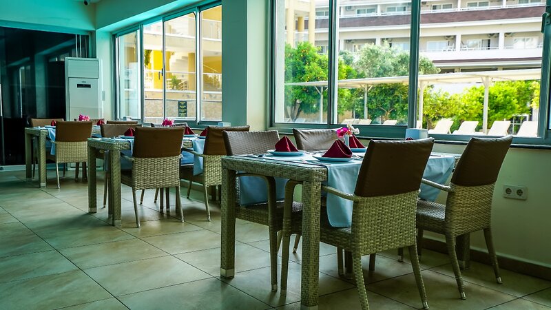 Catty Cats Garden Hotel 10