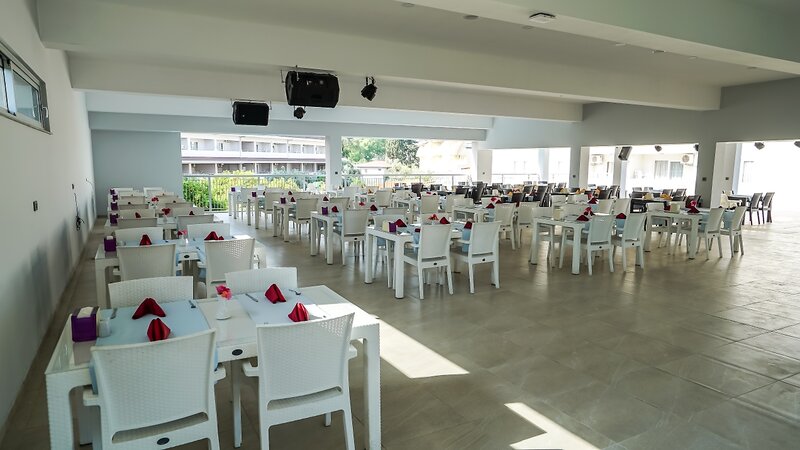 Catty Cats Garden Hotel 11