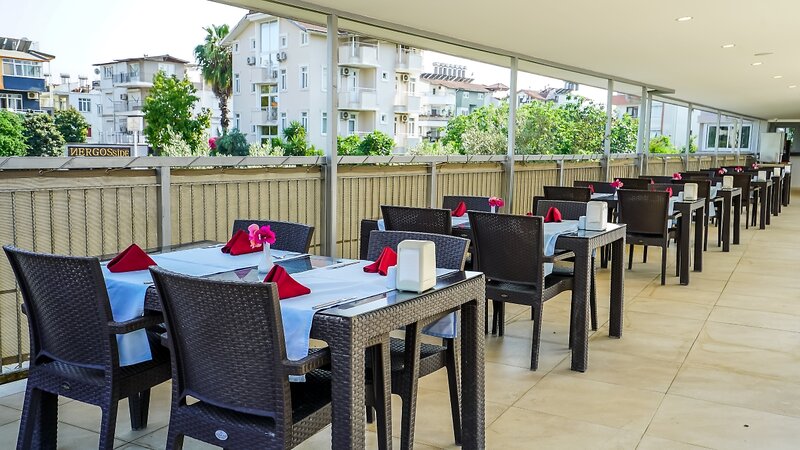 Catty Cats Garden Hotel 12