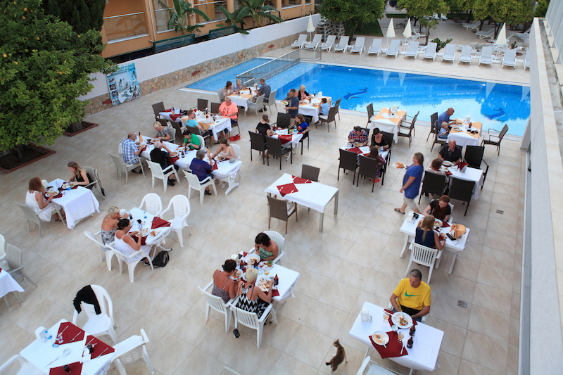Catty Cats Garden Hotel 6