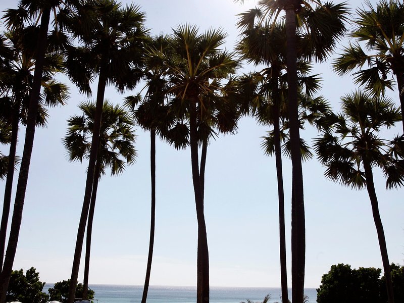 Woraburi Phuket Resort & Spa 6