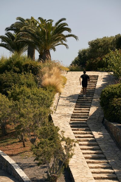Minos Palace hotel & suites 94