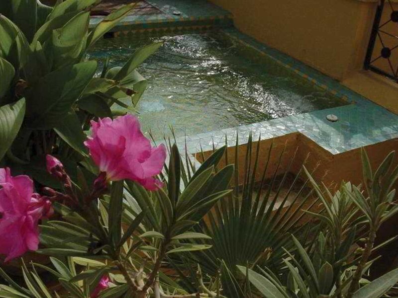 Riad Karmela 7