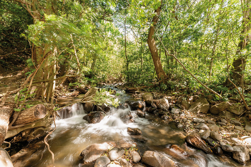 Hotel Borinquen Thermal Resort 23