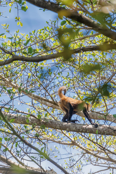 Hotel Borinquen Thermal Resort 24