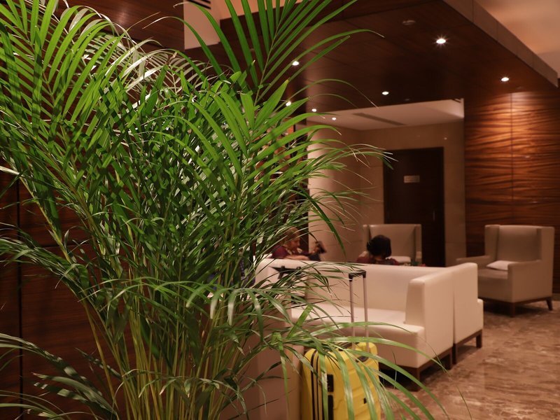 Majestic Hotel Tower Dubai 11 - Terrace