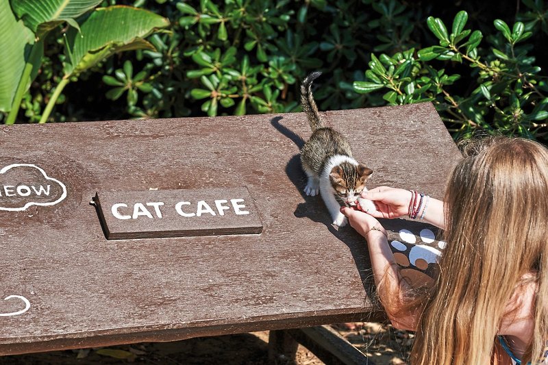 Agapi Beach Resort 16