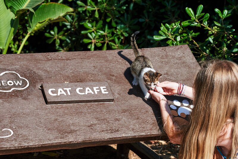 Agapi Beach Resort 102