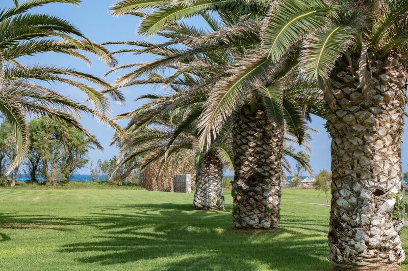 Agapi Beach Resort 104