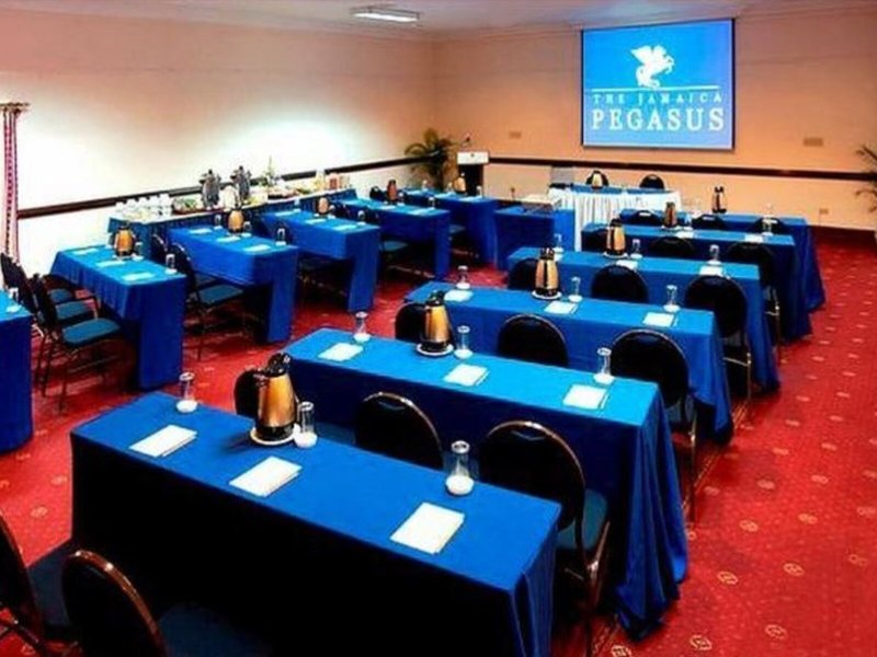 Jamaica Pegasus 23