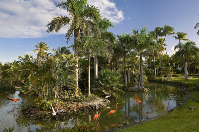 Melia Caribe Beach Resort 51