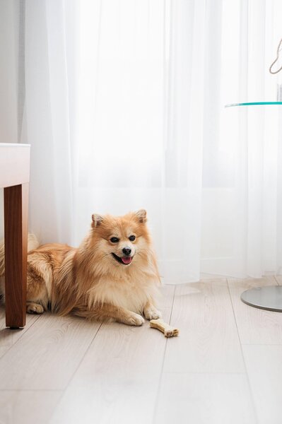 Meliá Punta Cana Beach 135