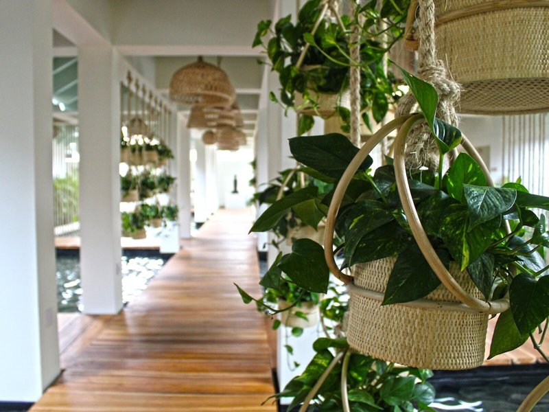 Meliá Punta Cana Beach 30