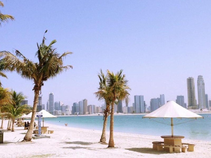 Zain International 5