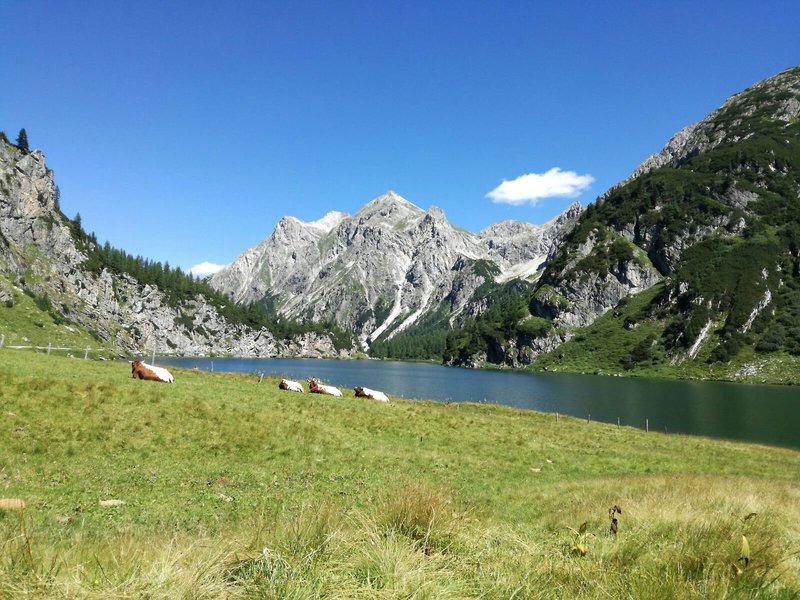Ferienanlage Kleinarl - Hanneshof, Montana, Angererwirt 4