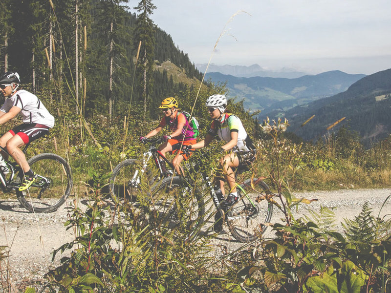 Ferienanlage Kleinarl - Hanneshof, Montana, Angererwirt 22