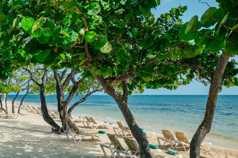 Iberostar Rose Hall Beach 54