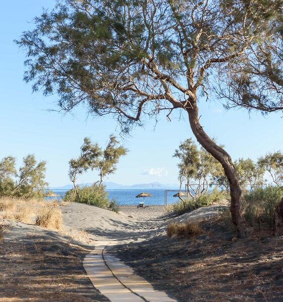 Scorpios Beach Santorini 18