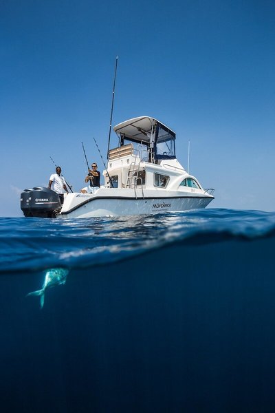 Kuredhivaru Resort and Spa Maldives 46