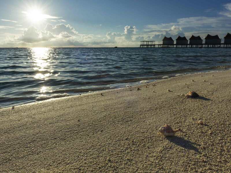 Kuredhivaru Resort and Spa Maldives 10