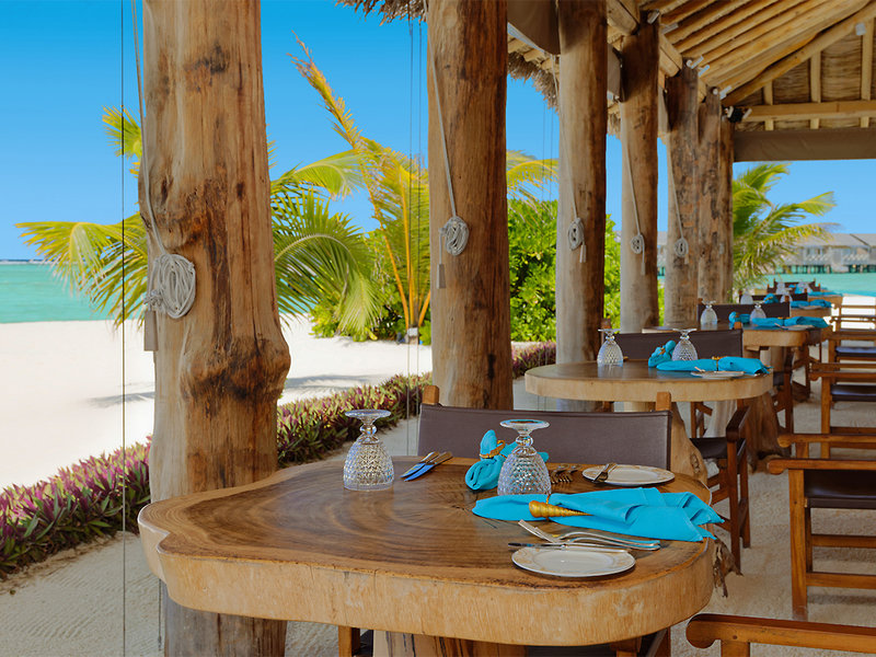 You & Me by Cocoon 14