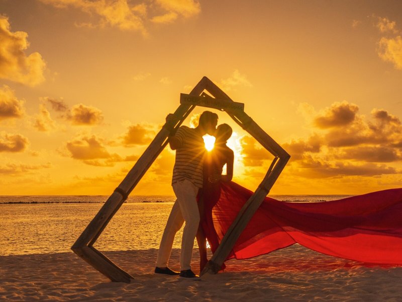 You & Me by Cocoon 11