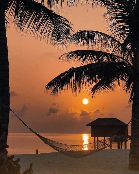 You & Me by Cocoon 12