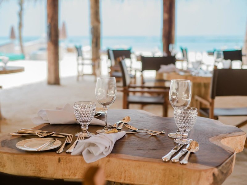 You & Me by Cocoon 35