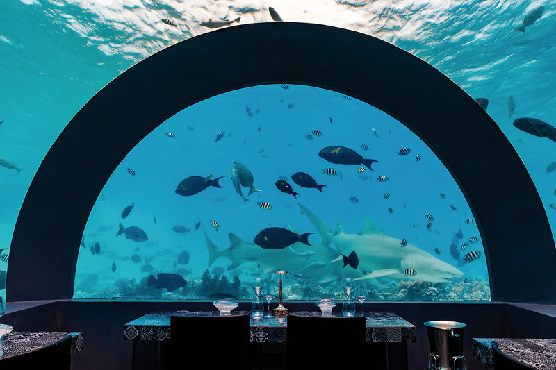 You & Me Maldives 33
