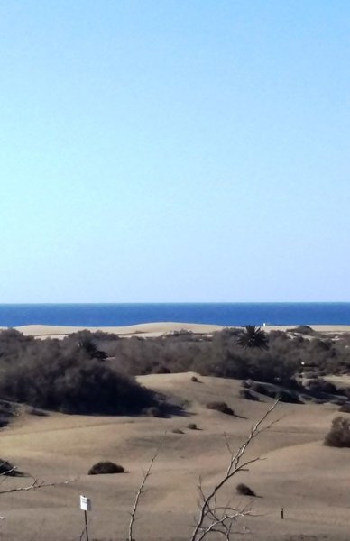 Beatriz Appartements  7