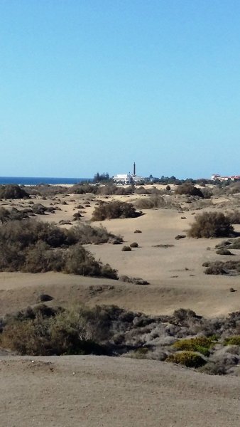 Beatriz Appartements  8