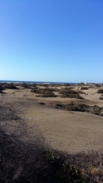 Beatriz Appartements  9