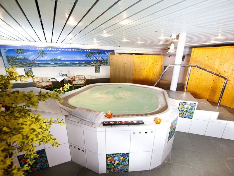 Swiss Budget Alpenhotel Täsch 8