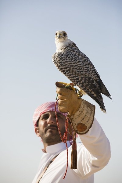 Jumeirah Al Wathba Desert Resort & Spa 25