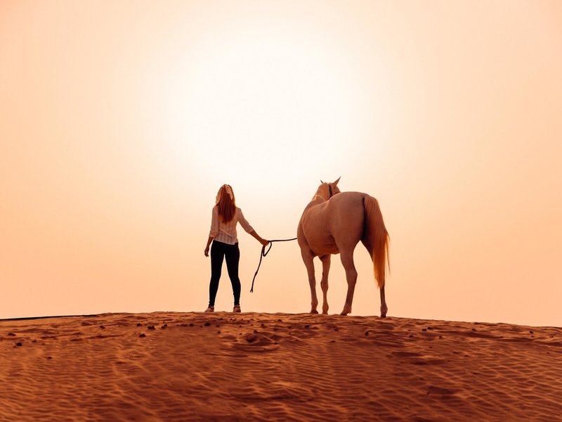 Jumeirah Al Wathba Desert Resort & Spa 29