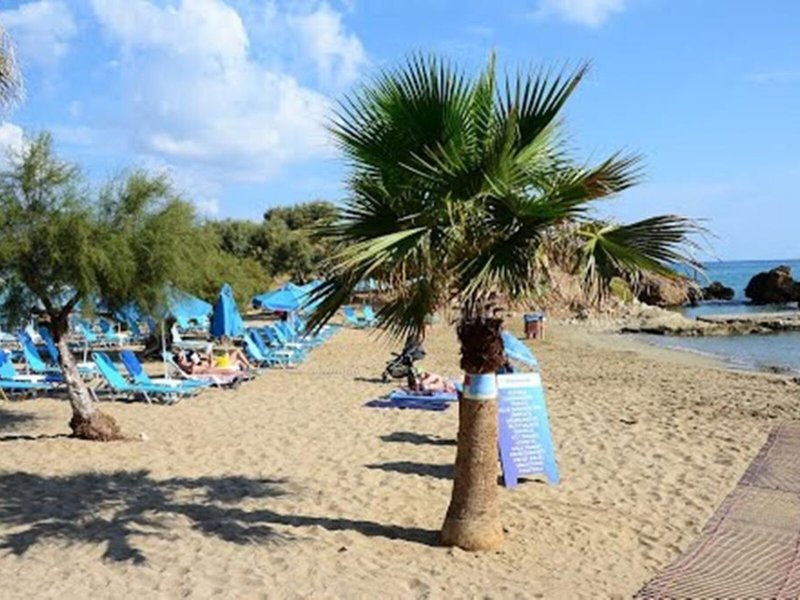 Zorbas 10 - Beach