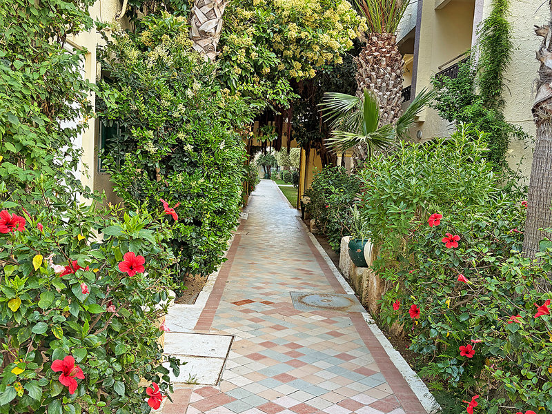 Paradis Palace 11
