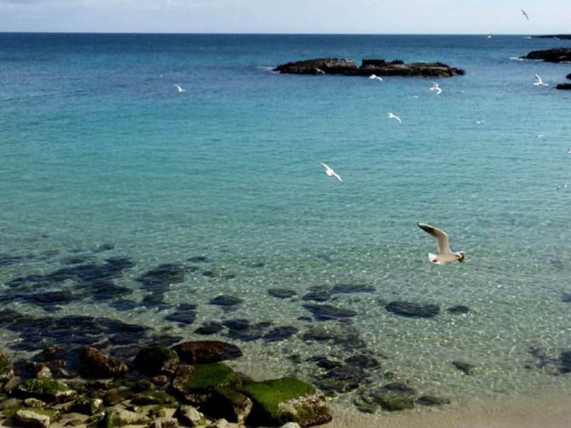 La Corvetta 7