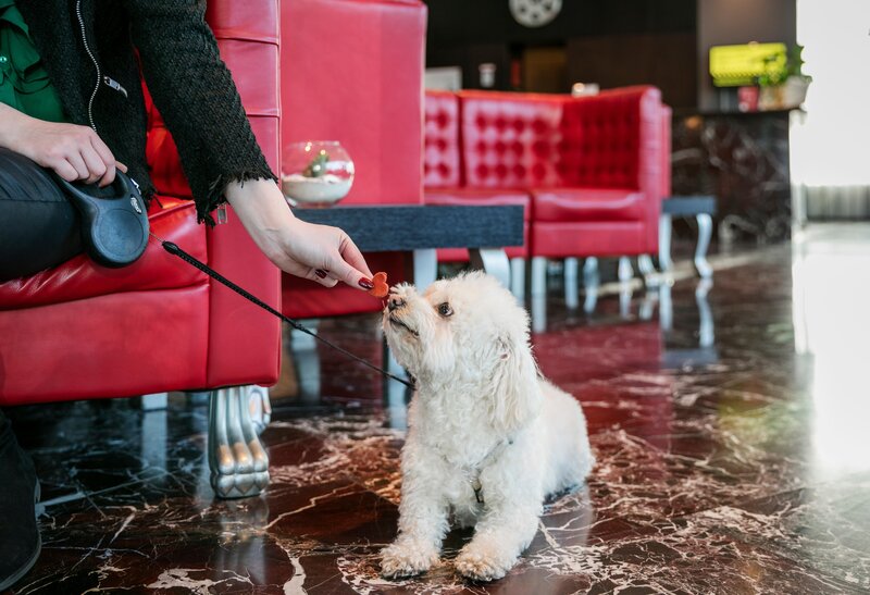 ARCOTEL Kaiserwasser Wien 61