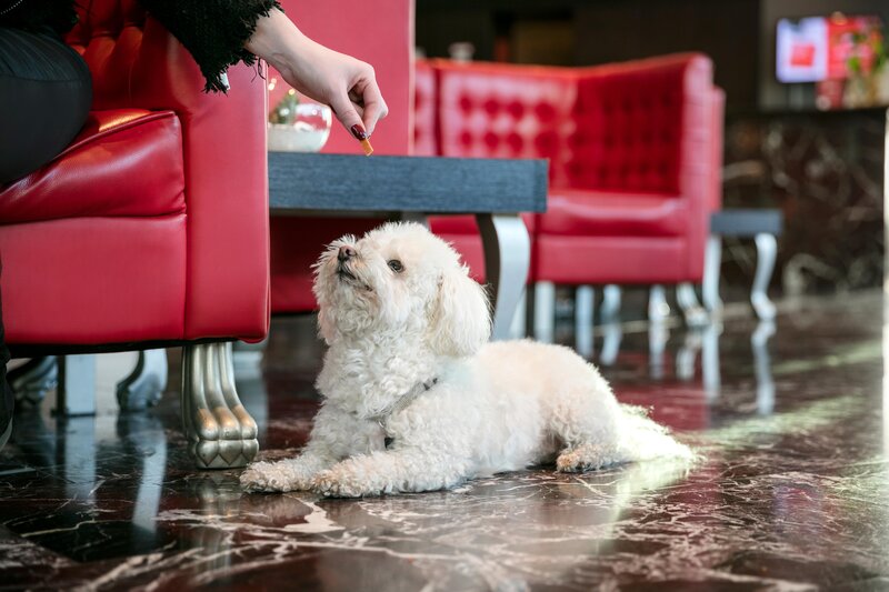 ARCOTEL Kaiserwasser Wien 62