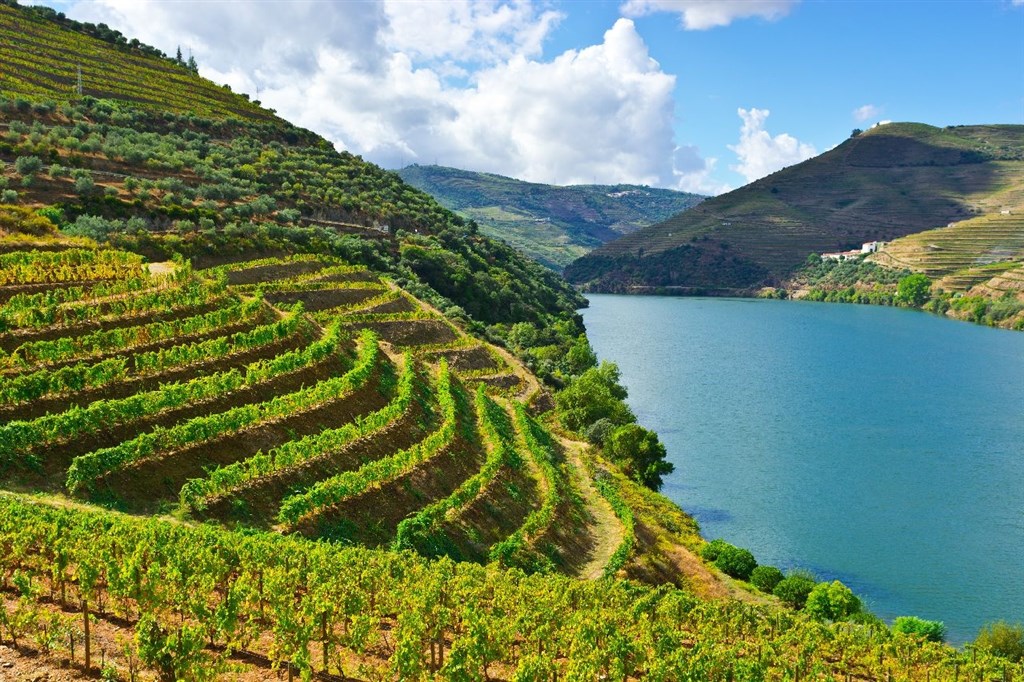 Porto - Vínna cesta