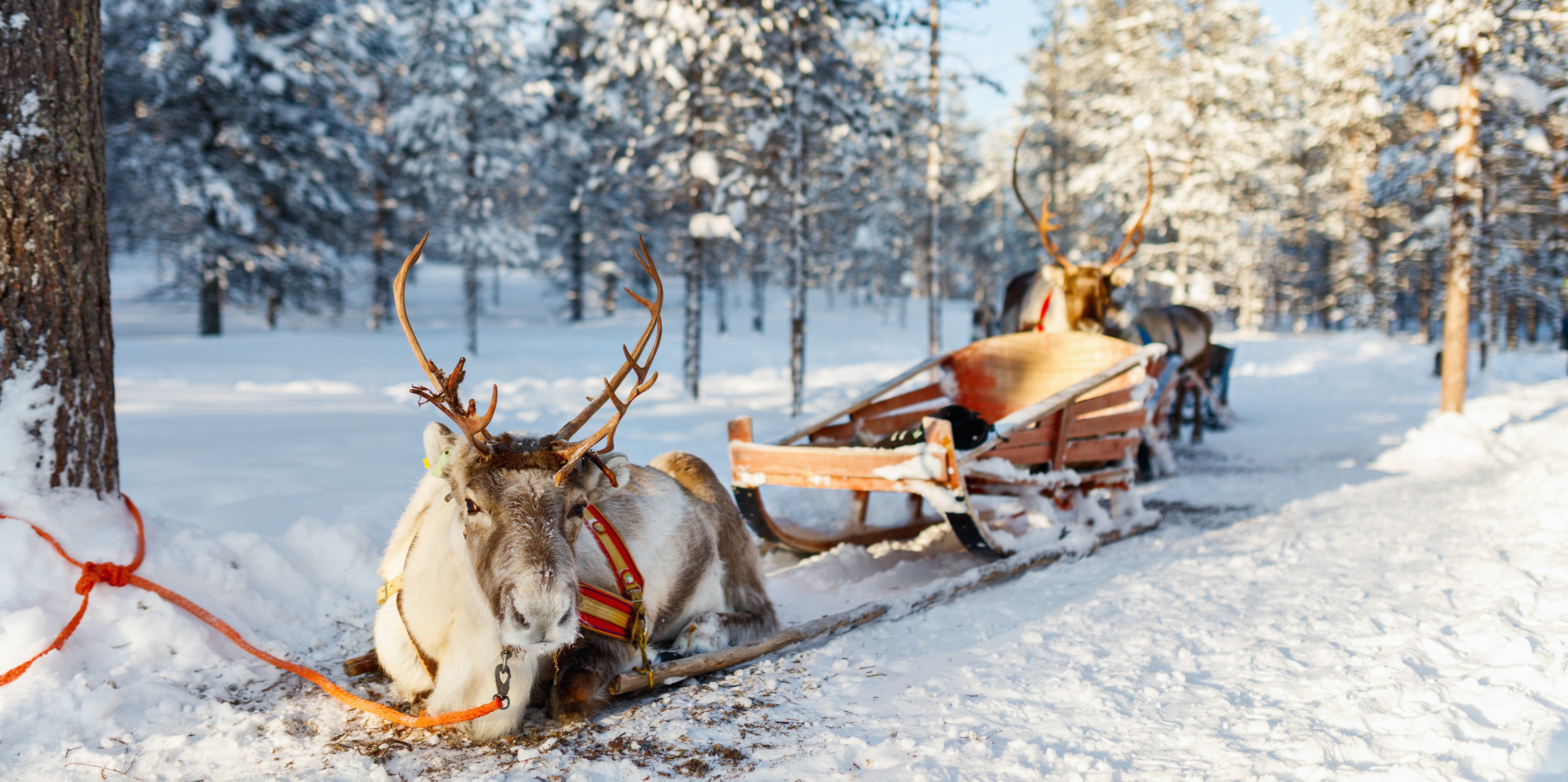 Laponsko - za polárnou žiarou a Santa Clausom