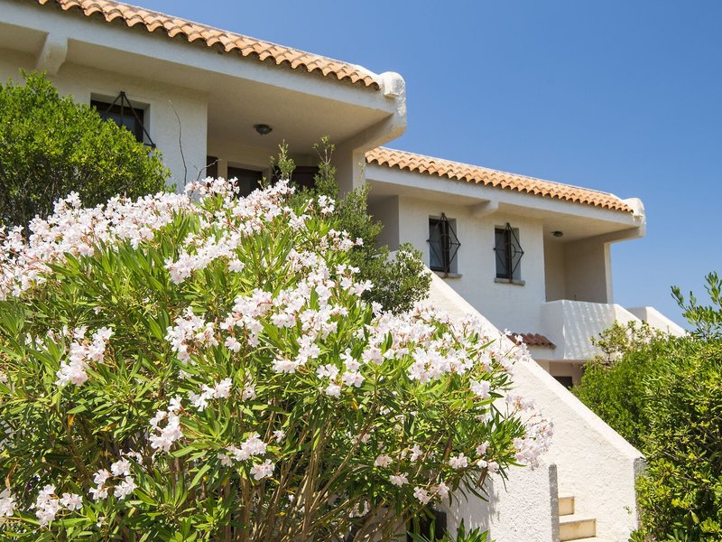 Residence Baia Santa Reparata 5